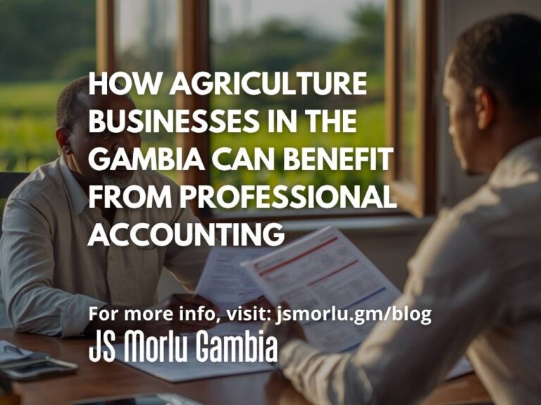 How Agriculture Businesses in The Gambia Can Benefit from Professional Accounting