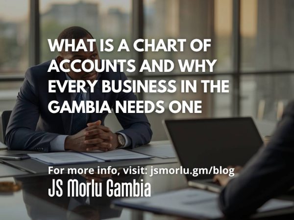 What Is a Chart of Accounts and Why Every Business in The Gambia Needs One