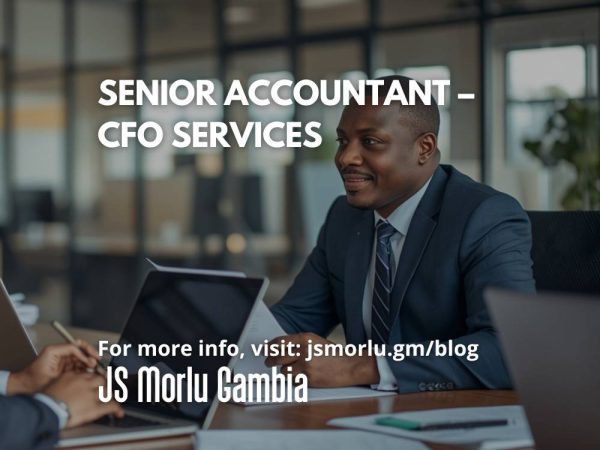 Senior Accountant – CFO Services