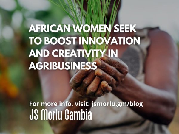 african-women-agribusiness