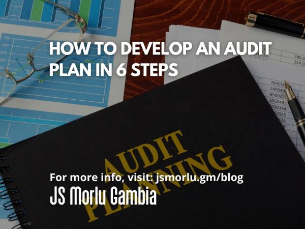 audit-plan-6-steps