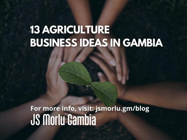 business-ideas-gambia