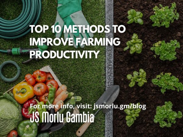 improve-farming-productivity