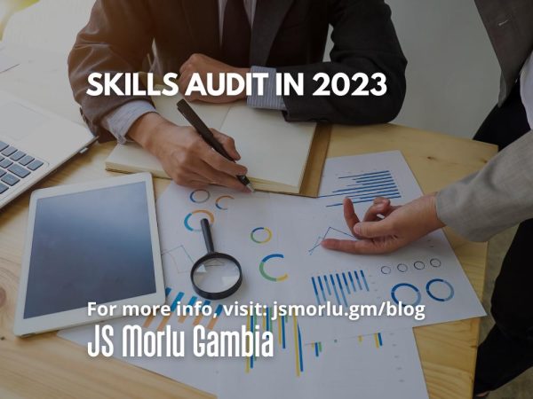 skills-audit-2023